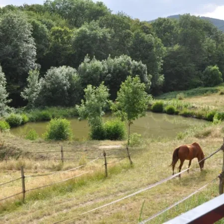 La Bergerie – Chambres et table d&rsquo;hotes 69290 Pollionnay, ouest lyonnais