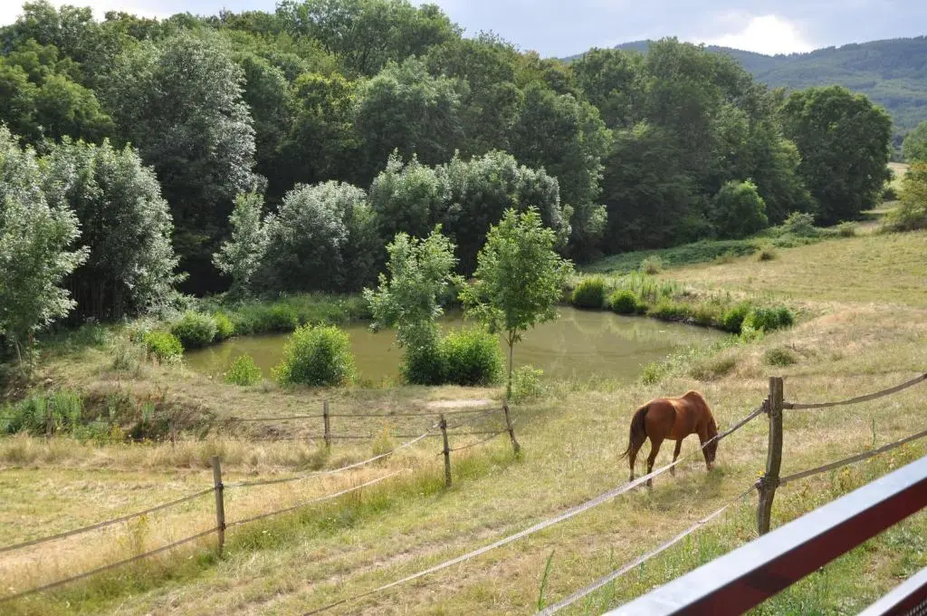 La Bergerie – Chambres et table d’hotes 69290 Pollionnay, ouest lyonnais