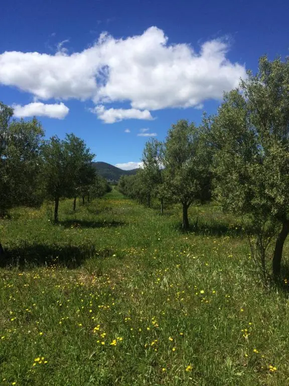 domaine de camp joyeux