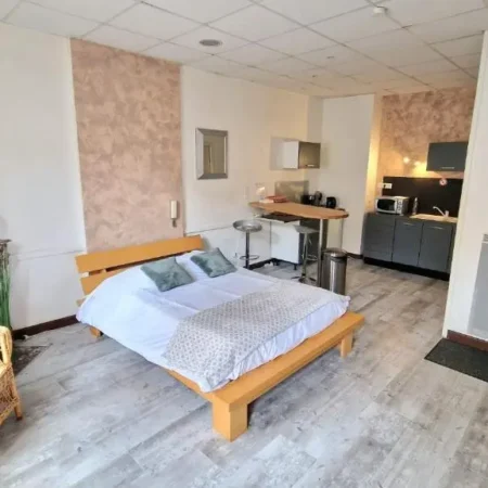 Appart Hotel Roanne