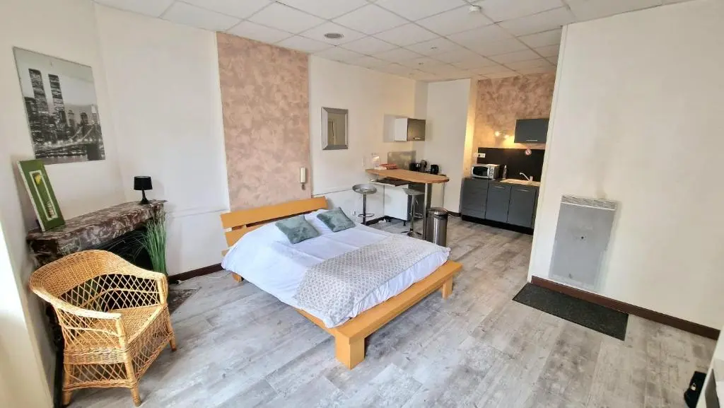 Appart Hotel Roanne