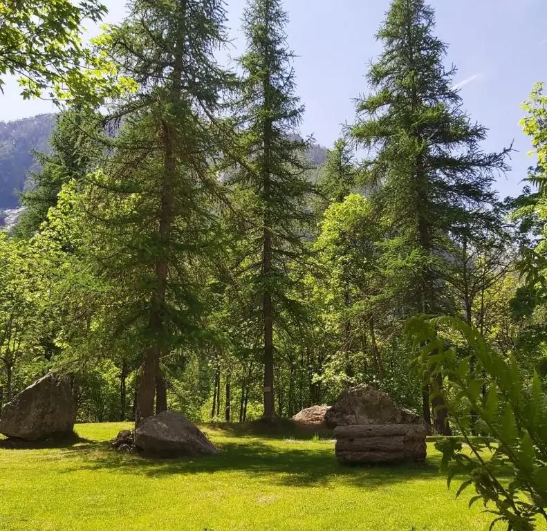 Chalet Hotel d’Ailefroide