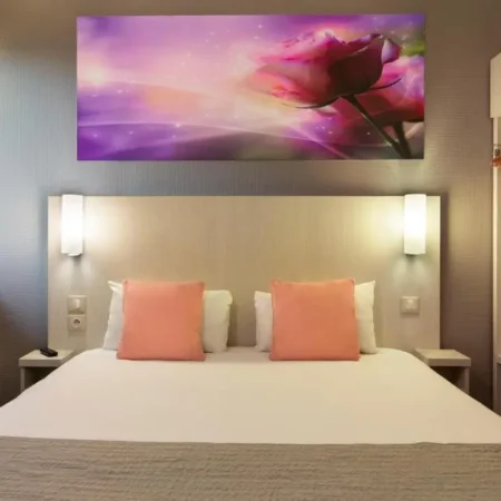 Comfort Hotel Orleans Olivet Aulnaies