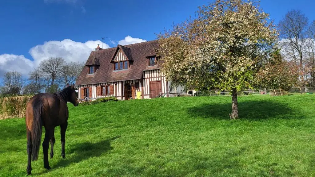 Relais equestre du Miloir – chambres d’hotes