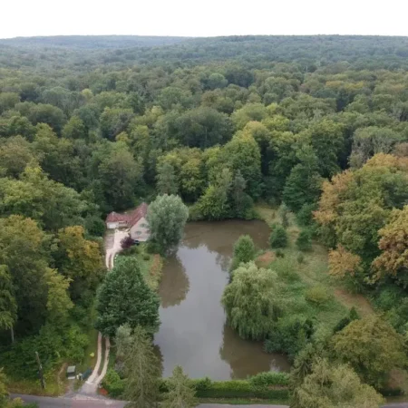 Nid dans la foret