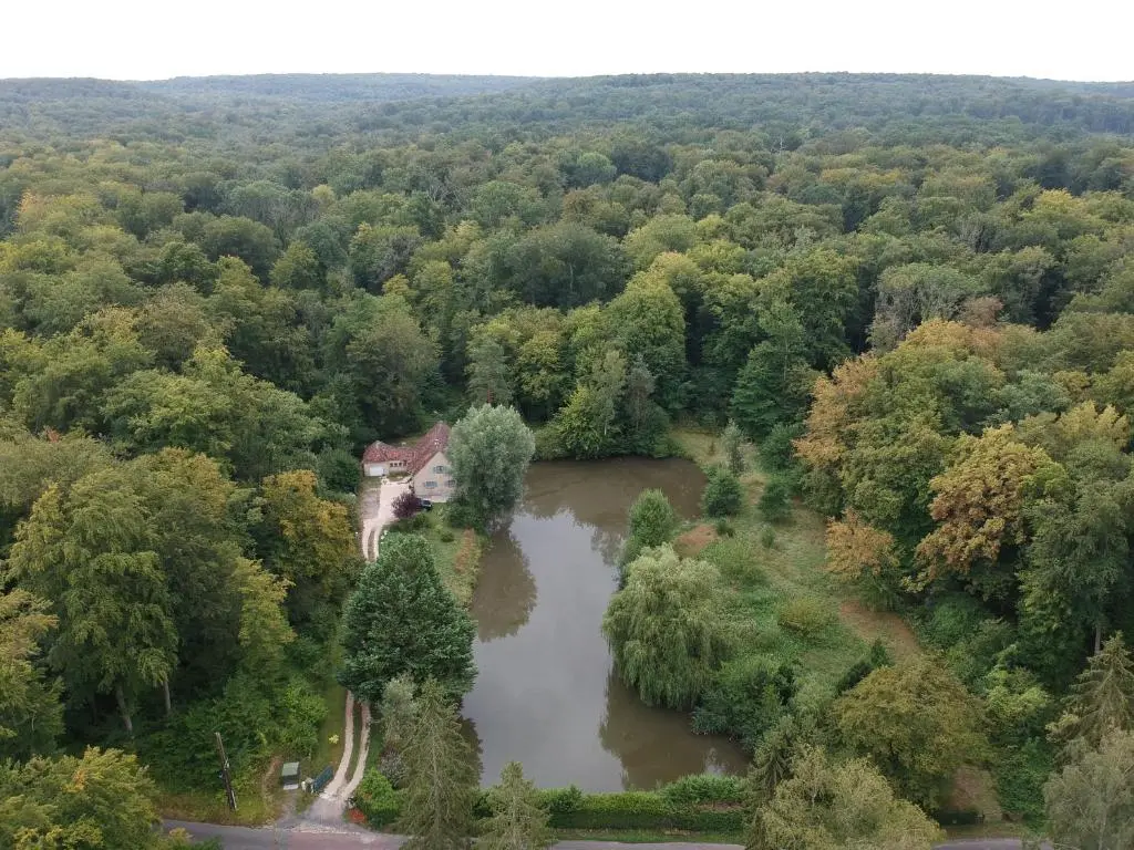 Nid dans la foret