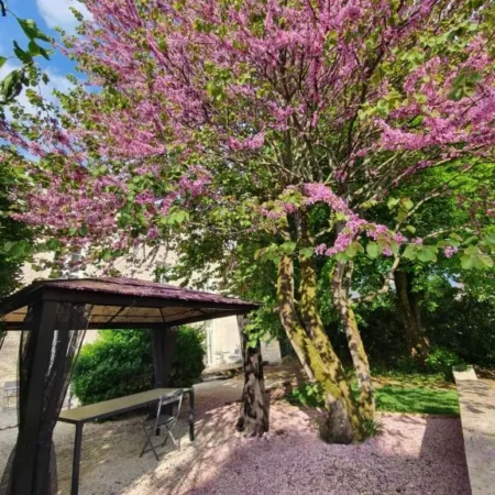 Maison Laurenza