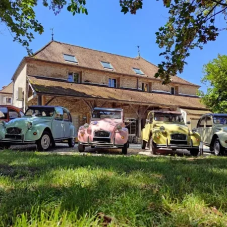 Domaine Saint Loup