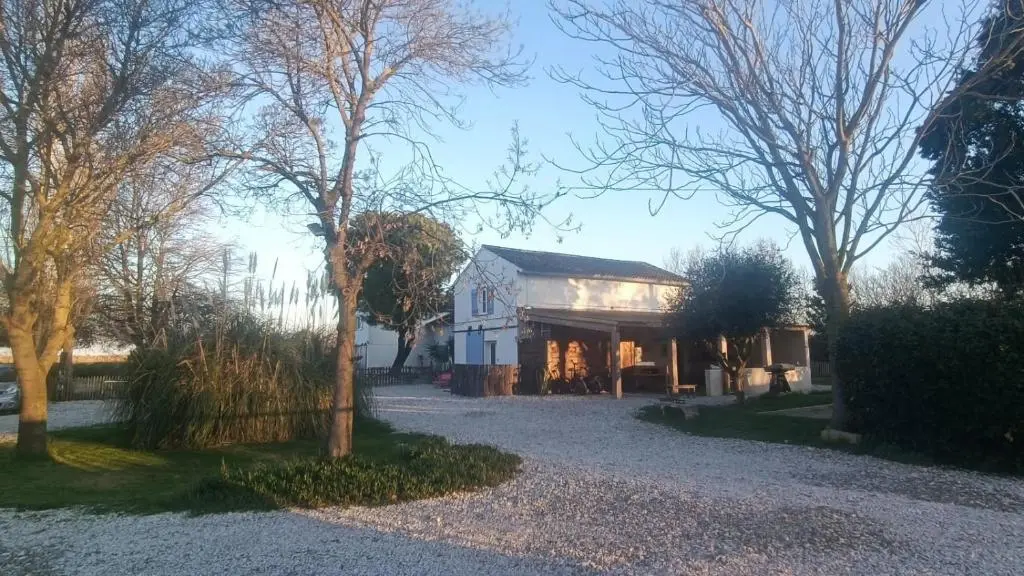 Mas Constantin
