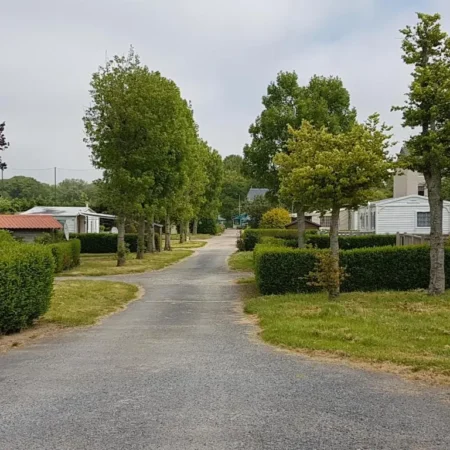 Camping L&rsquo;Oiseau Blanc
