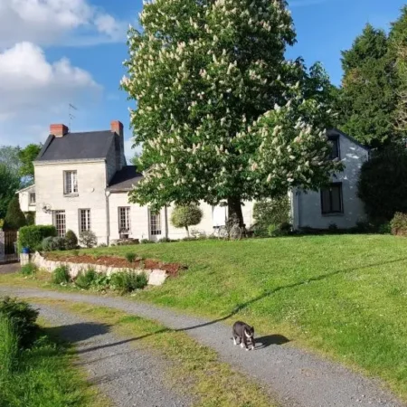 Chambres d&rsquo;hotes – Ile du Saule