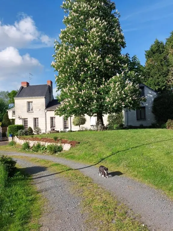 Chambres d’hotes – Ile du Saule