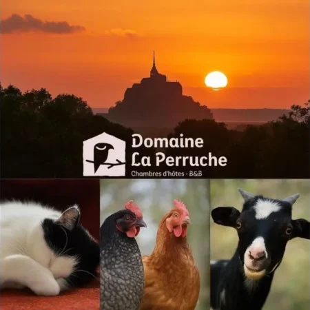 La Perruche