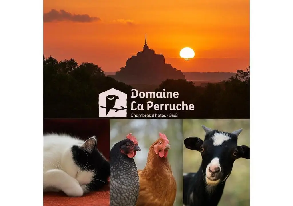 La Perruche