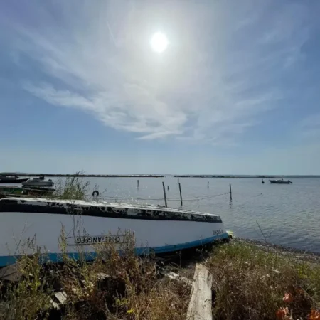 Oasis Cove, maison au bord de l’eau