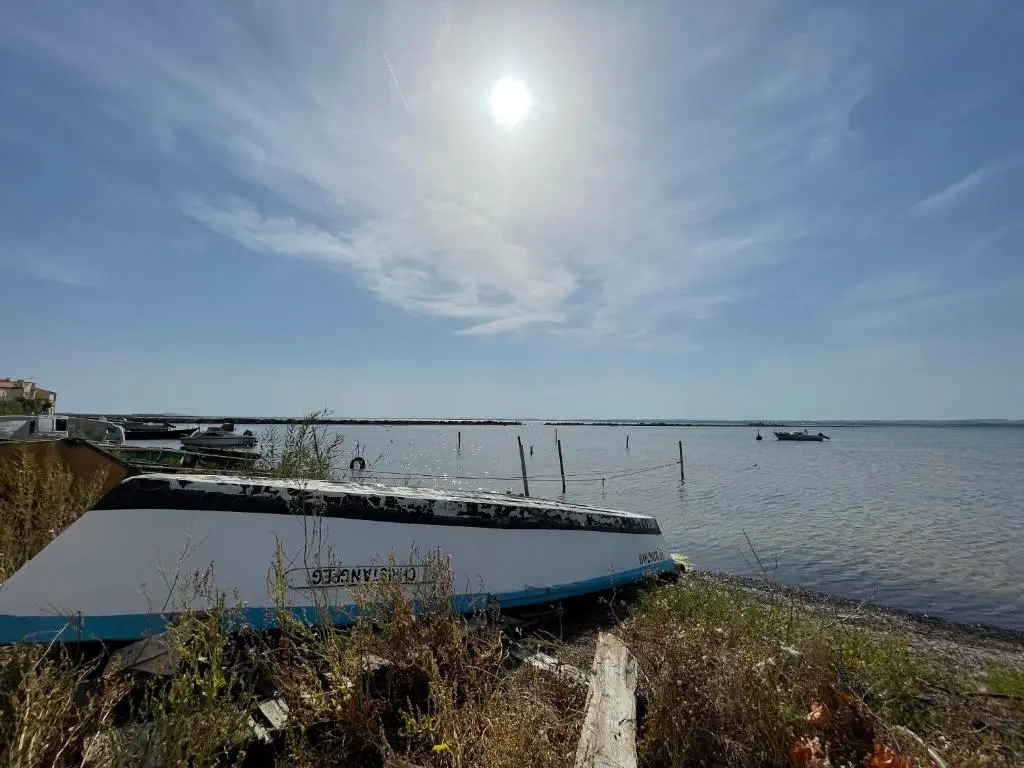 Oasis Cove, maison au bord de l’eau