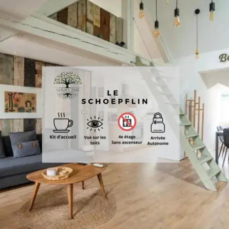 Strasbourg hyper centre, superbe appartement