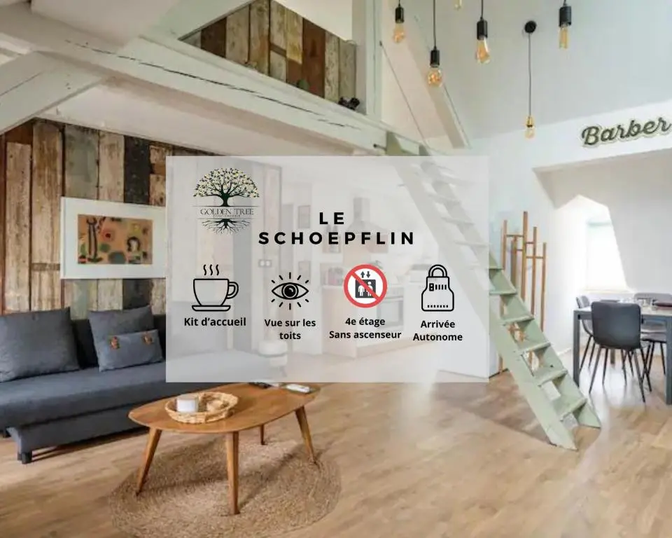 Strasbourg hyper centre, superbe appartement