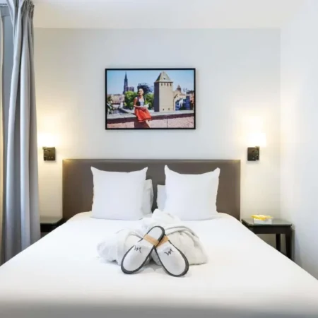 Hotel Mercure Strasbourg Centre Petite France