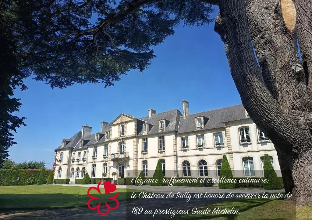 Chateau de Sully