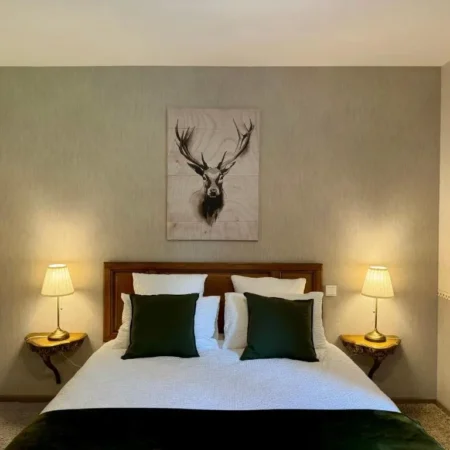 Aux Gites de l&rsquo;etang – Chambre d&rsquo;hotes – Maison d&rsquo;hotes – Gites THANNENKIRCH – BERGHEIM