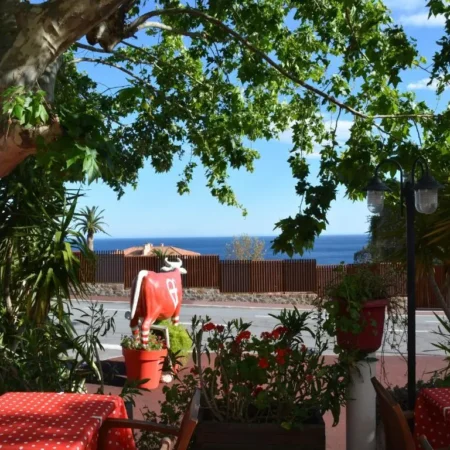 Le Patio