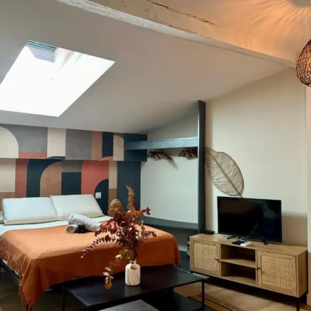 Toulouse Appartement