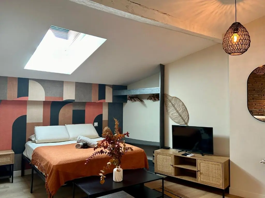 Toulouse Appartement