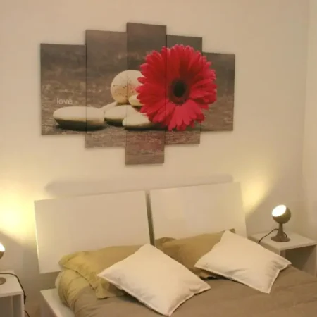 Appartement Universite-Capitole