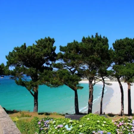 4 Locations 2p vue magnifique plage de Trestel, 3CleVacances