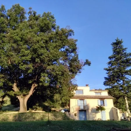 BnB Le Grand Chene