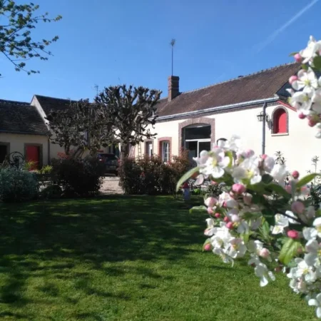 La Cite Des Abeilles