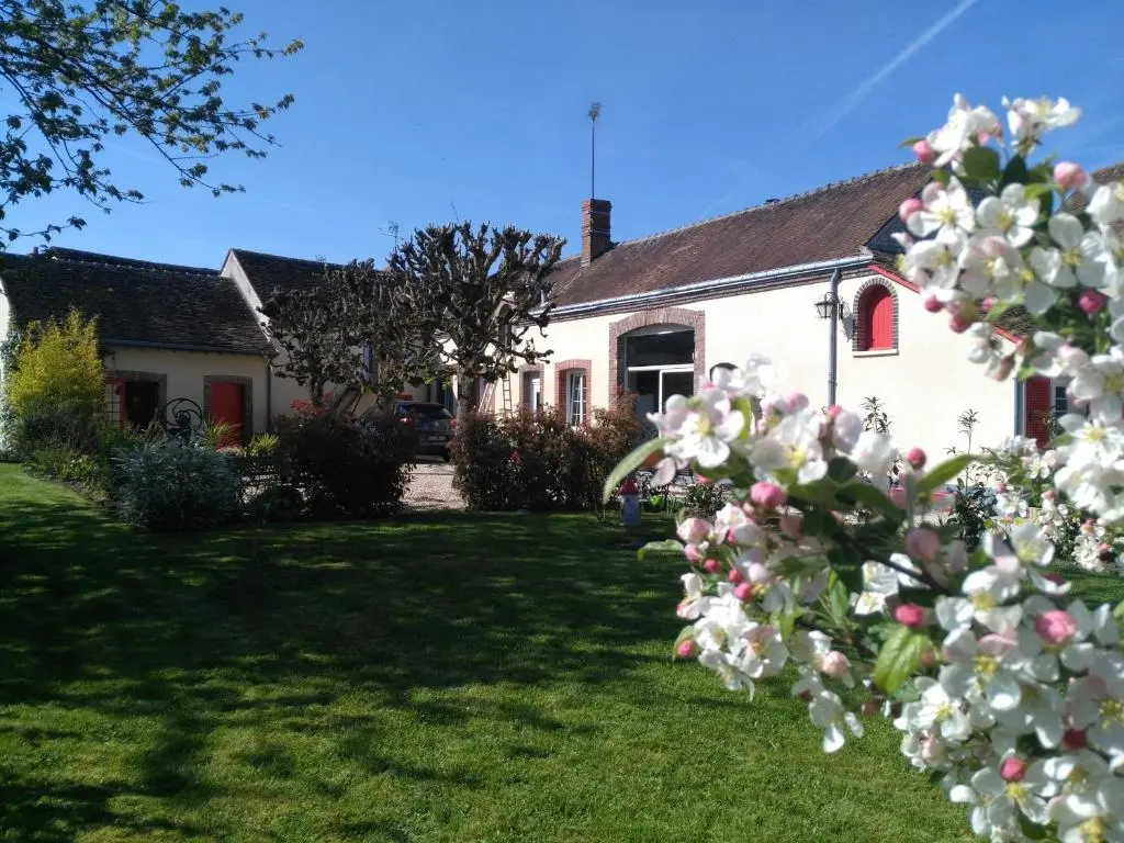 La Cite Des Abeilles