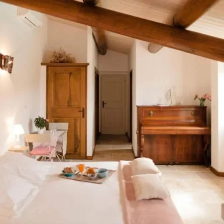 Provence Dodo
