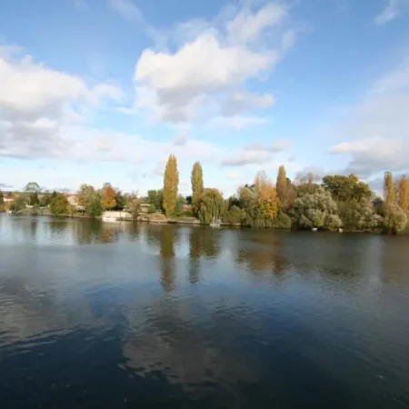 Comme Un Poisson Dans l’Eau
