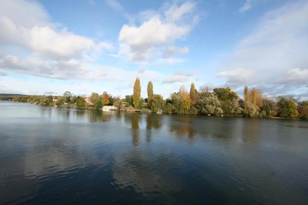 Comme Un Poisson Dans l’Eau
